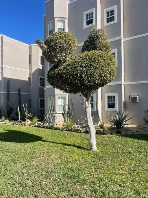 Apartament Departamento En 1Er Piso 2 Bdr 2Bath Tezal Cabo San Lucas Zewnętrze zdjęcie